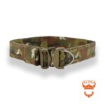 PAS BOJOWY GINGER’S MOLLE BELT D-RING GTG